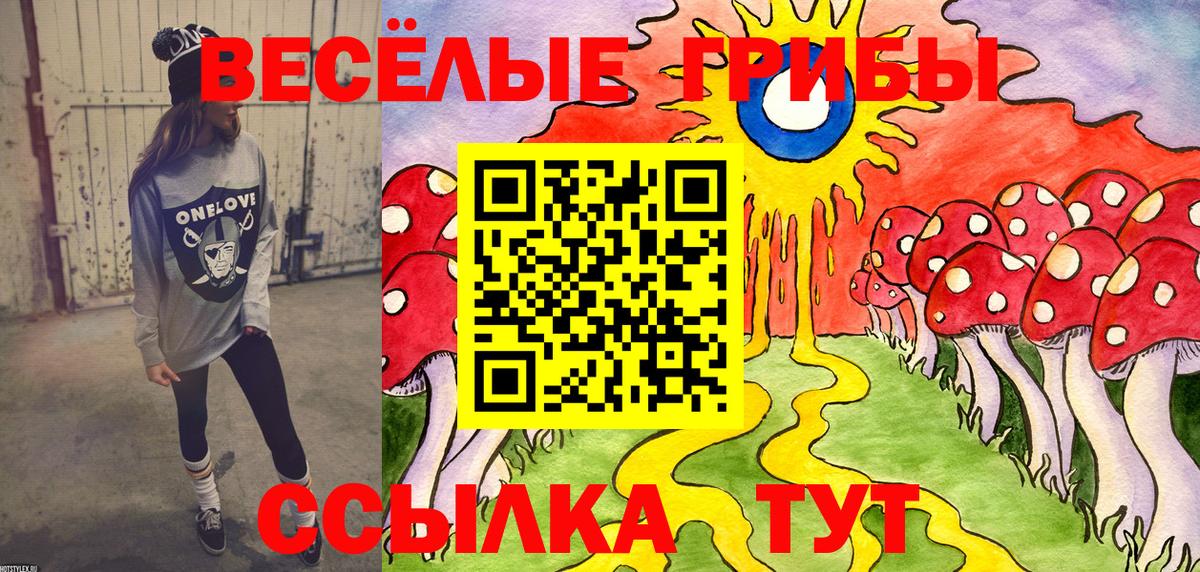 Верхняя Пышма  Галлюциногенные грибы мухоморы  Вход с VPN  Галлюциногенные грибы ЛСД 